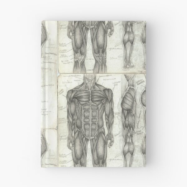 Item preview, Human Anatomy 2 designed and sold by Tara Hale.