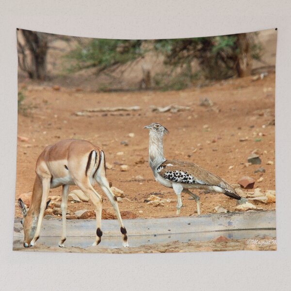 Item preview, LADIES FIRST ! IMPALA & KORI BASTARD - Ardeotis kori designed and sold by Magriet Meintjes.