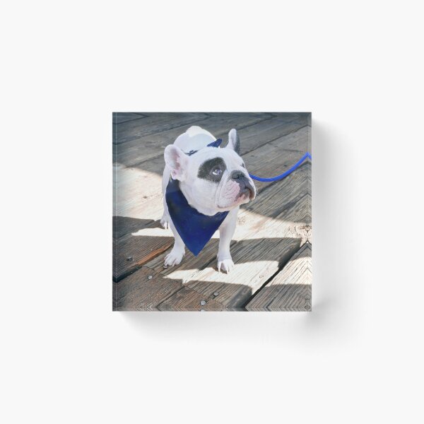 Item preview, Frenchie Bulldog designed and sold by laurafay.