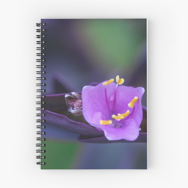 Item preview, Purple Flower  designed and sold by Carolyn's Captures - Original Photohgraphy.