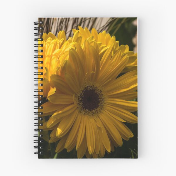 Item preview, Three Sunshine Yellow Gerbera Daisies designed and sold by Georgia Mizuleva.