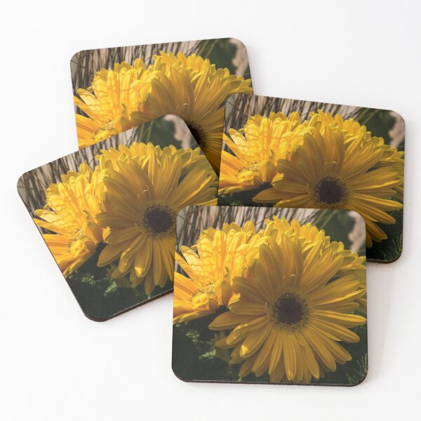 Item preview, Three Sunshine Yellow Gerbera Daisies designed and sold by Georgia Mizuleva.