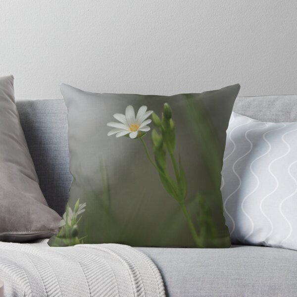 Item preview, Lesser stitchwort emerges in spring designed and sold by miradorpictures.