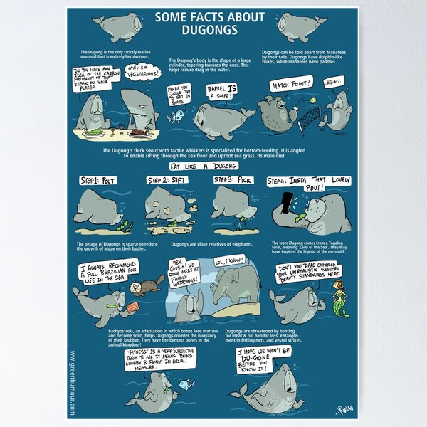 Some Facts about Dugongs Poster