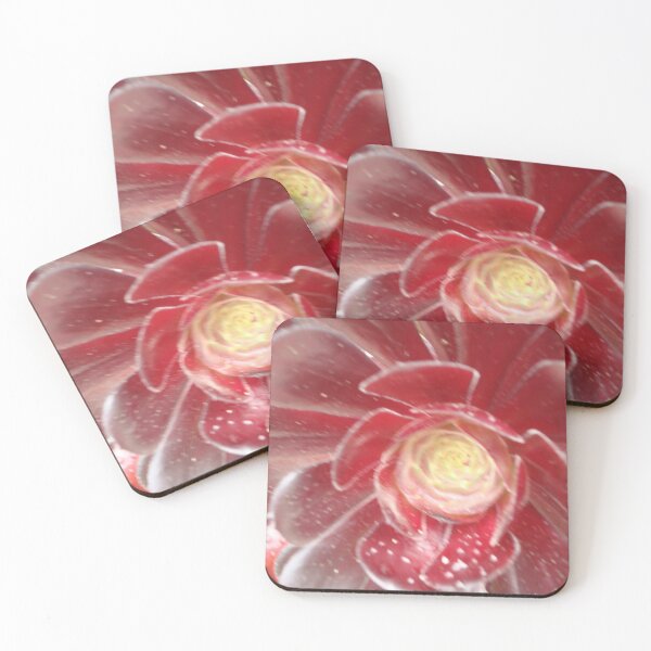 Item preview, Succulent Red Aeonium - Tresco Abbey Gardens, Scilly Isles  designed and sold by niki2028.