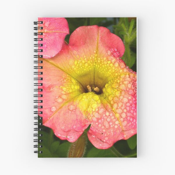 Item preview, Petunia bloom designed and sold by BryanDevon.