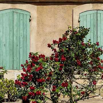 Artwork thumbnail, Red Roses by Susiepie