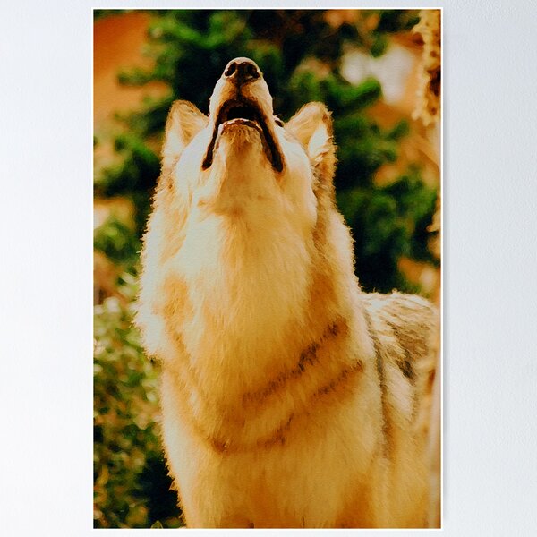 Artikelvorschau, THE CALL OF THE WILD entworfen und verkauft von Michael Beers.
