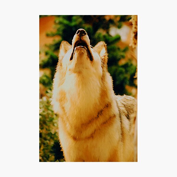 Item preview, THE CALL OF THE WILD designed and sold by Michael Beers.