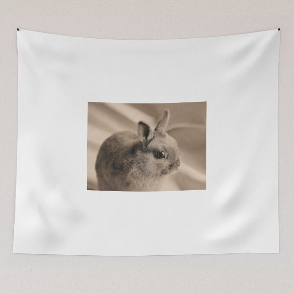 Item preview.