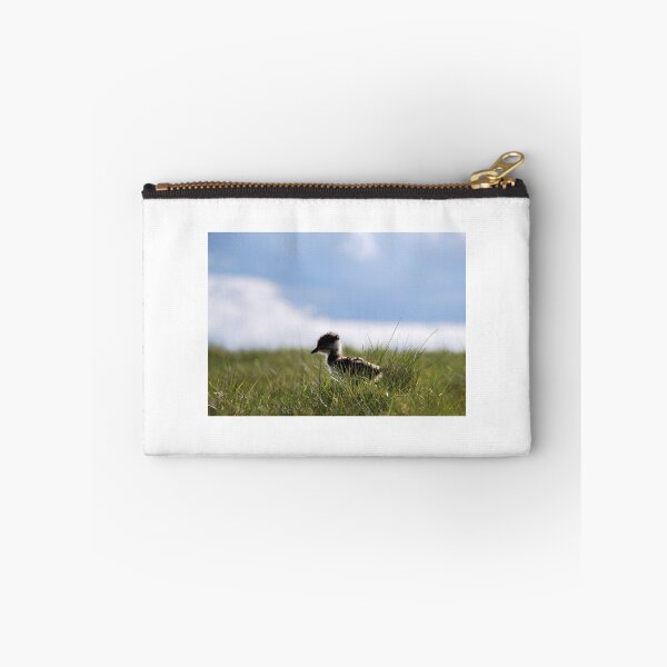 Item preview, Lapwing Chick designed and sold by Lindamell.