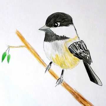 Artwork thumbnail, Bird by RyanLoesch
