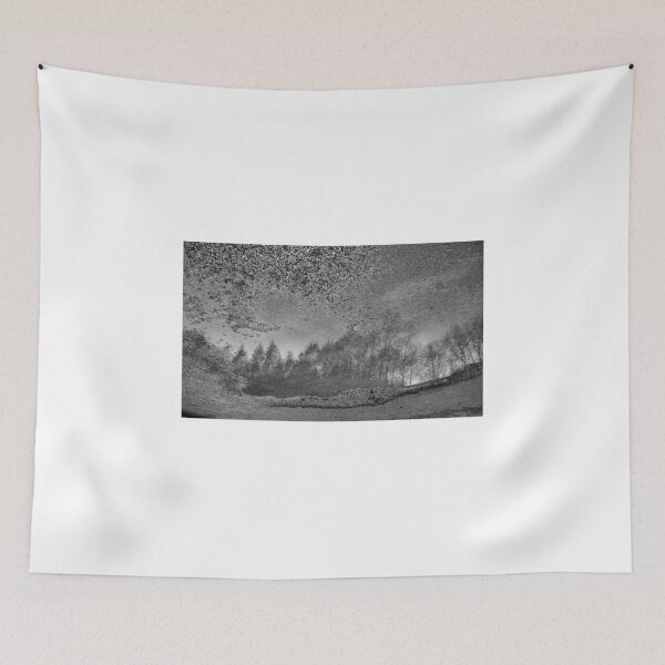 Item preview, Reflections in a Puddle designed and sold by Lindamell.
