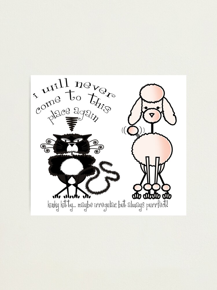 Alternate view of KINKY KITTY - I Hate the Beauty Parlor Photographic Print