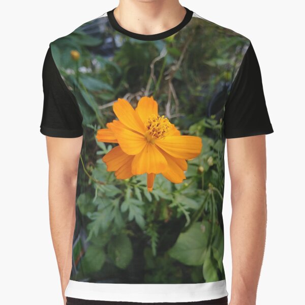 Flowers, #flowers, African daisies, #African, #daisies, #Africandaisies Graphic T-Shirt