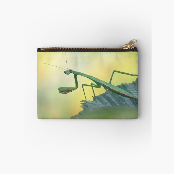Item preview, Female European Mantis or Praying Mantis, Mantis religiosa, on a leaf designed and sold by svetlanna.