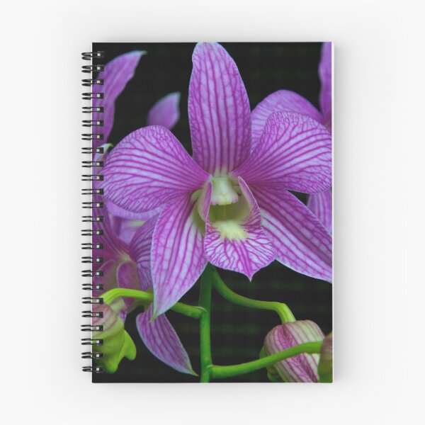 Item preview, Captivating Orchid designed and sold by jjohnsueb.