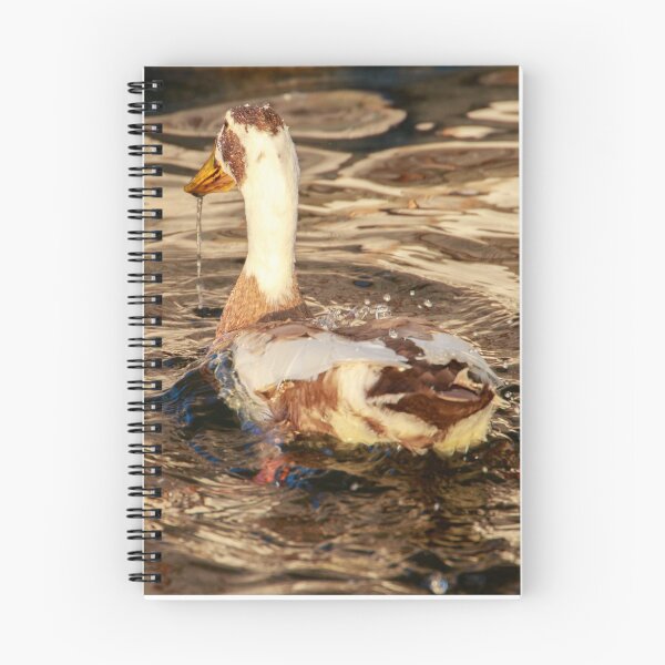 Item preview, Run duck in the golden water 4 designed and sold by anatida.
