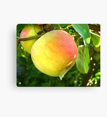 Lienzo Apple Papple Peerum Paarum