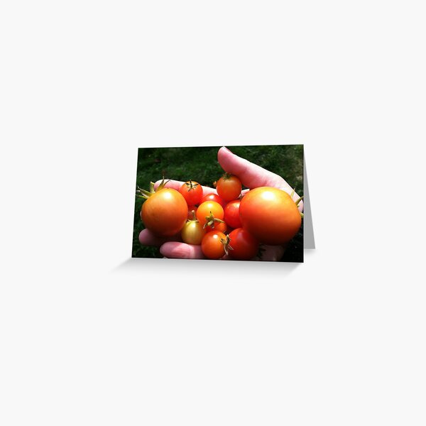 Tomatoes Greeting Card
