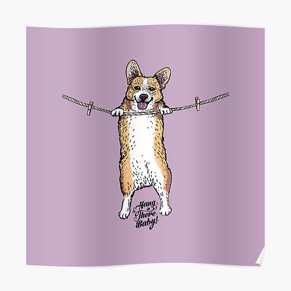 Hang In There Baby Corgi Poster