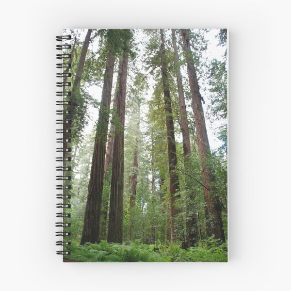 Item preview, Redwoods, Northern California designed and sold by Deborah Singer.