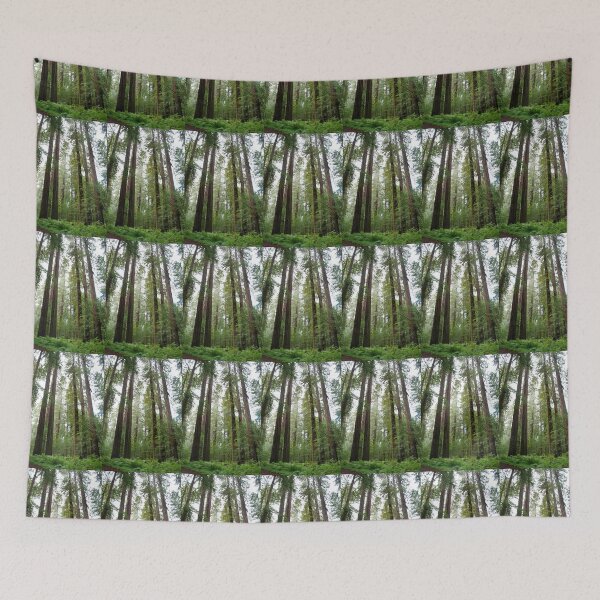 Item preview, Redwoods, Northern California designed and sold by Deborah Singer.