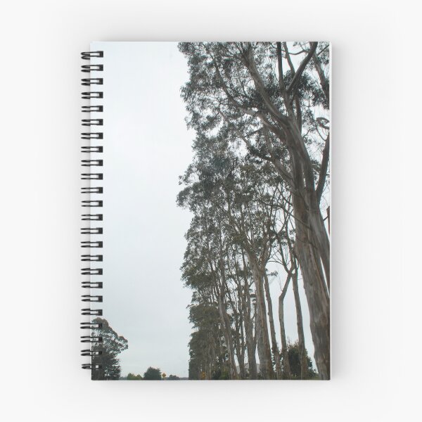 Item preview, Eucalyptus Road, NorCal designed and sold by Deborah Singer.