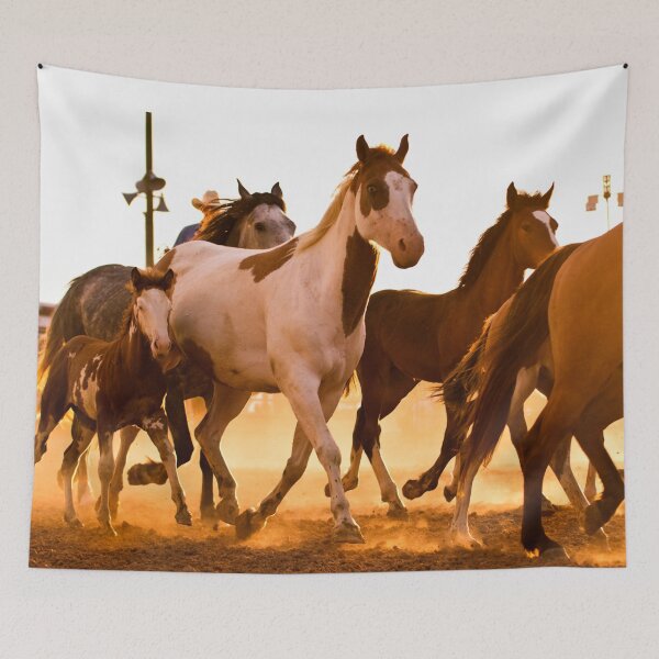 Item preview, Broncs designed and sold by Tiffany Bumgardner.