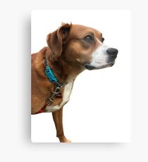 Winnie Metal Print