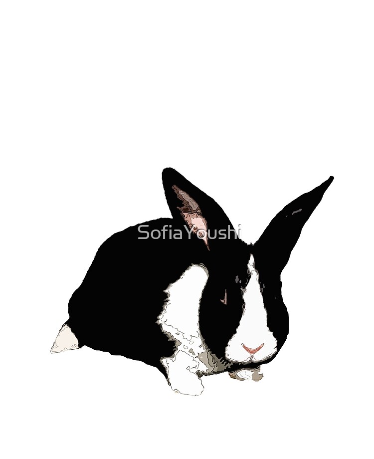 BUNNY BLACK WHITE RABBIT iPad Case & Skin for Sale by SofiaYoushi