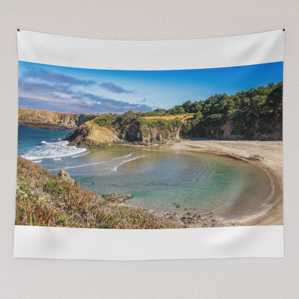 Aperçu de l'œuvre Réserve Naturelle de Jug Handle California créée et vendue par PhotoArt by Joan Carroll.
