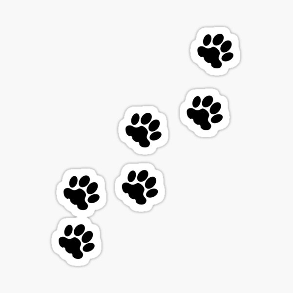 Paw Print Tracks: For Animal Lovers: Merchandise, Midwest