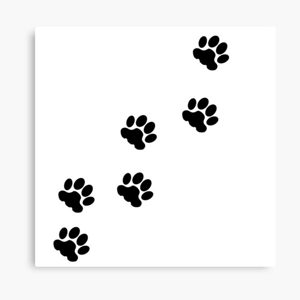 wildcat paw print - Google Search  Wild cats, Paw drawing, Cat paw print