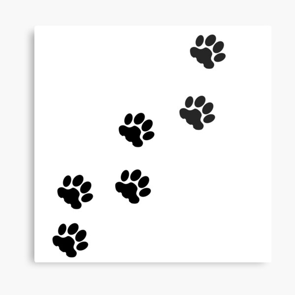 On sale Paw Prints Metal Print