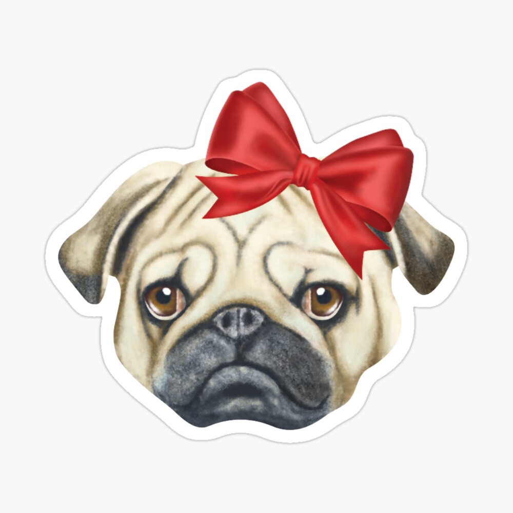 pug with bow