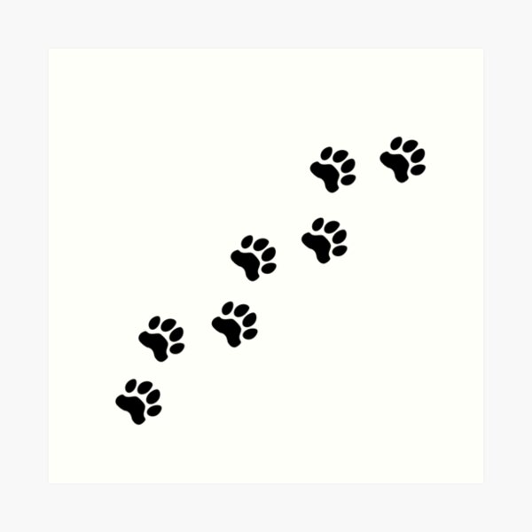 PadPaw Print Stamp Pad  Doggy & Kitty PetCorner