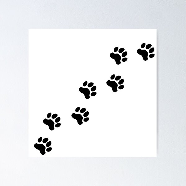 Dog tracks, dog footprint, dog paw, dog, doggy, paw print, animal