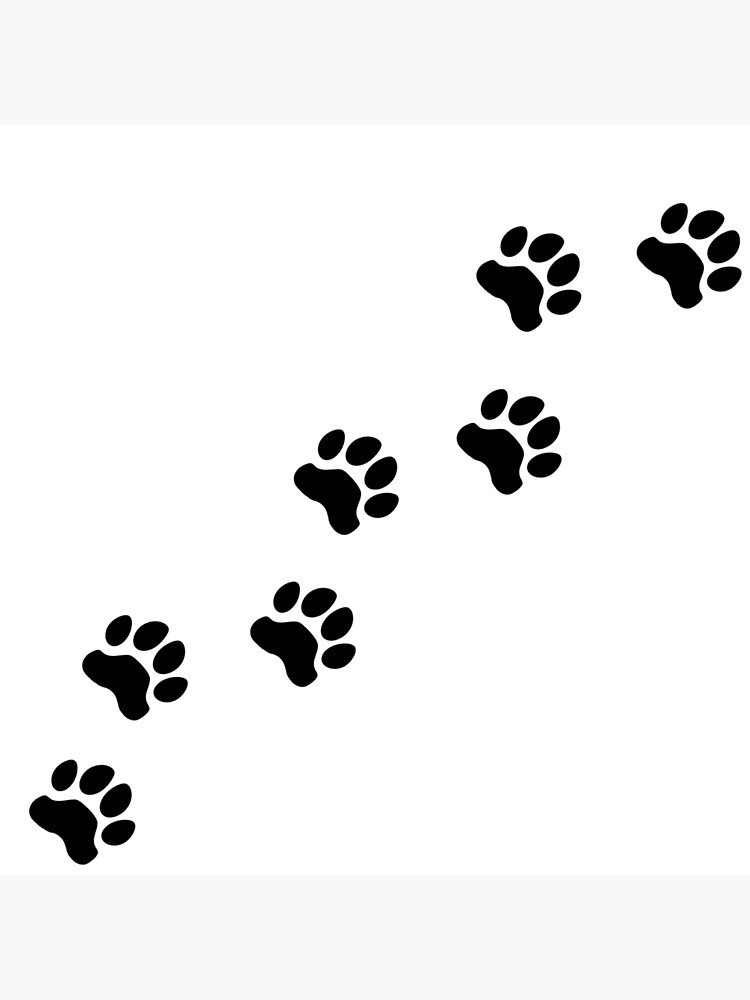 Huellas de perro, huella de perro, pata de perro, perro, perrito, impresión  de pata, paso de animal, paso de perro, huellas de animales, pata linda 