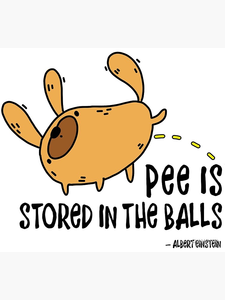 Pee Is Stored In The Balls