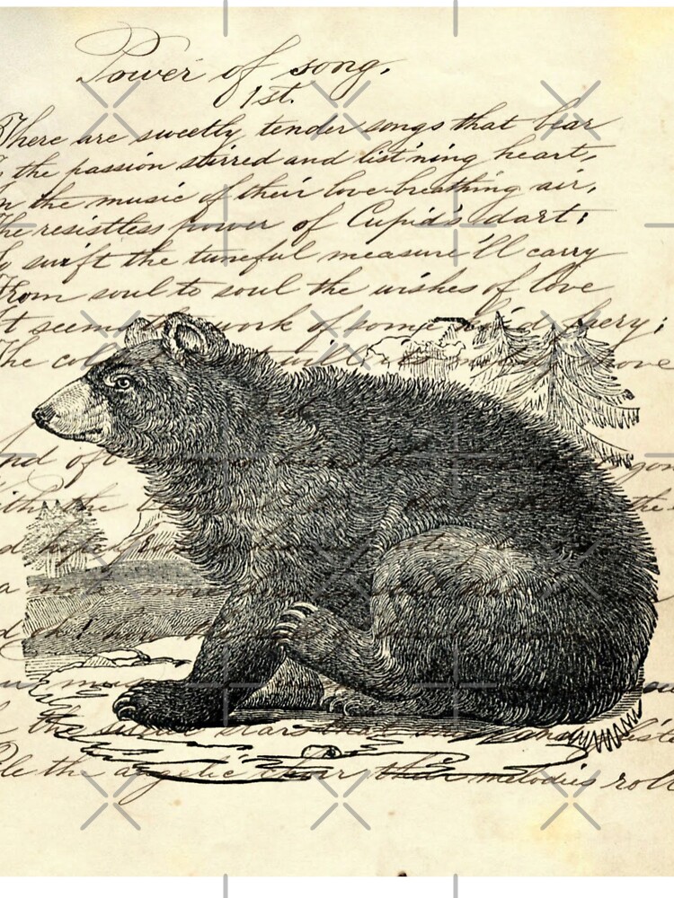 rustic cabin woodland animal mountain forest grizzly bear rustic cabin woodland animal mountain forest grizzly bear