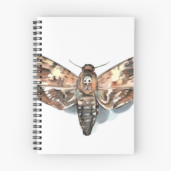 Item preview, Natural Deaths Head Moth designed and sold by brandydevoid.