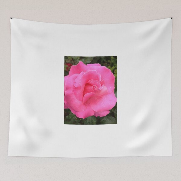 Item preview, Bright Pink Rose  designed and sold by stephip26.