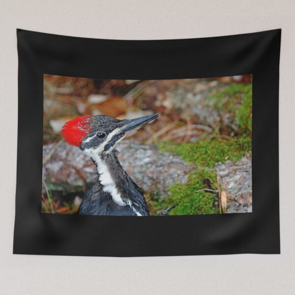 Item preview, Juvenile Female Pileated Woodpecker designed and sold by Debbie Oppermann.