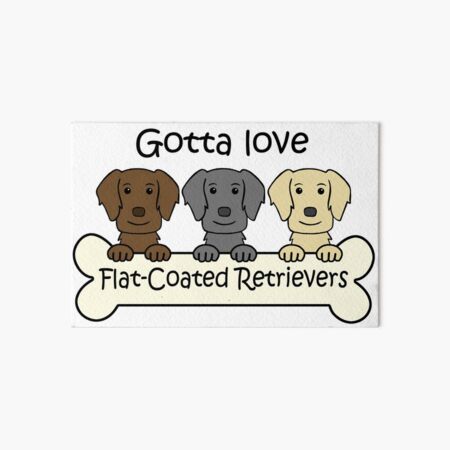 flat coated retriever merchandise