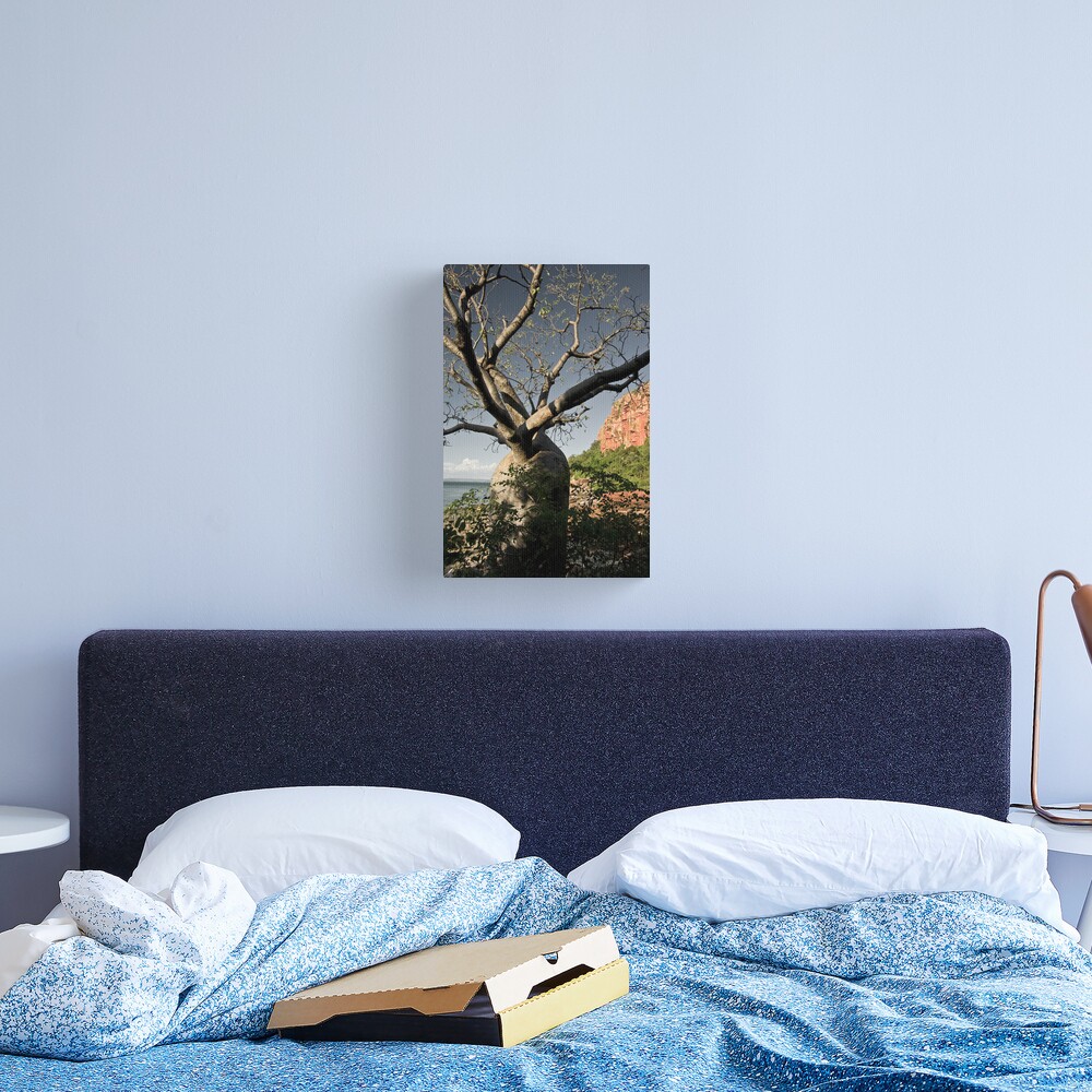 Kimberley Boab Canvas Print