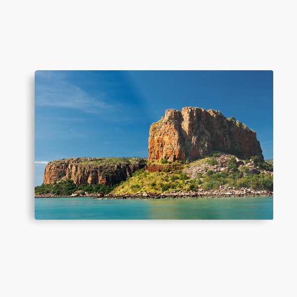 Metal Print