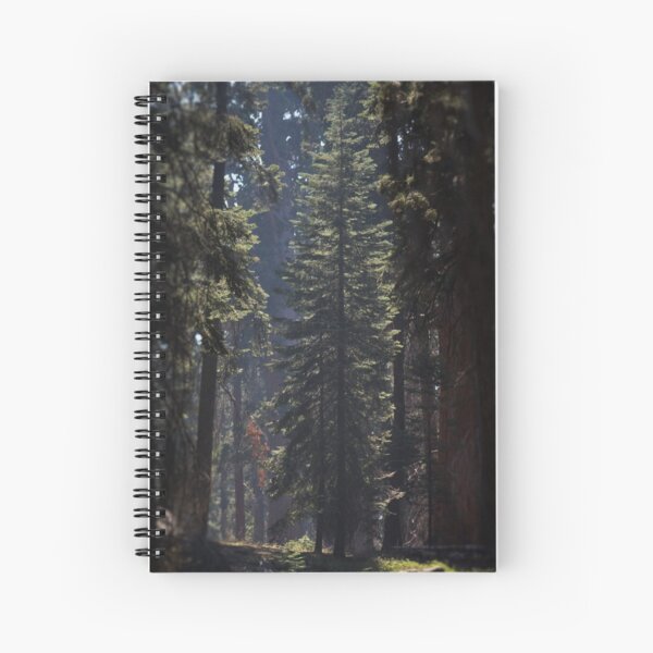 Item preview, Sugar Pine designed and sold by ryanmsorel.