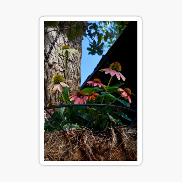 Hanging Basket of Flowers Sticker