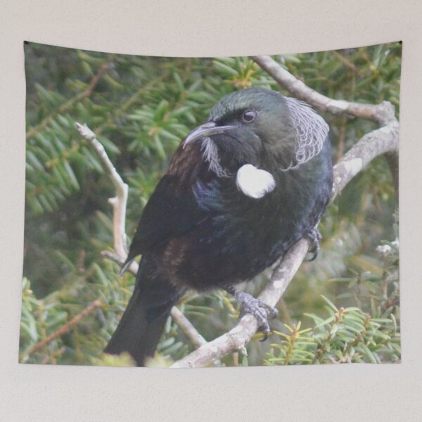 Artikelvorschau, Tui in einem Totara-Baum entworfen und verkauft von lizdomett.